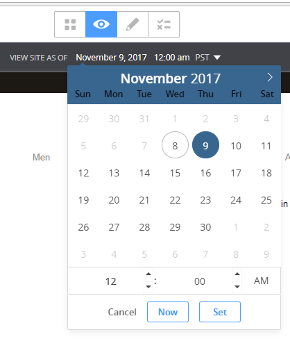 An example of the site date picker.