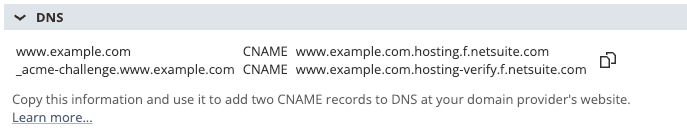 Example of CNAME records on NetSuite Domain record page