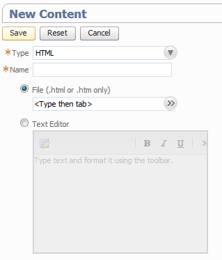 Shows where you can include your own custom HTML elements in the NetSuite interface.