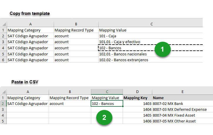 Screenshot showing the values that need to be copied from the Mexico SAT Account Grouping template to the CSV file.
