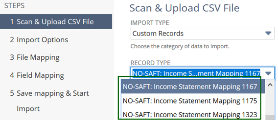 Import CSV Records with Custom Records and NO-SAFT Income Statement Mapping 1167 selected