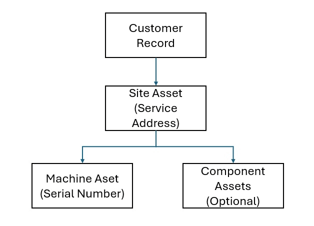 Customer record and asset