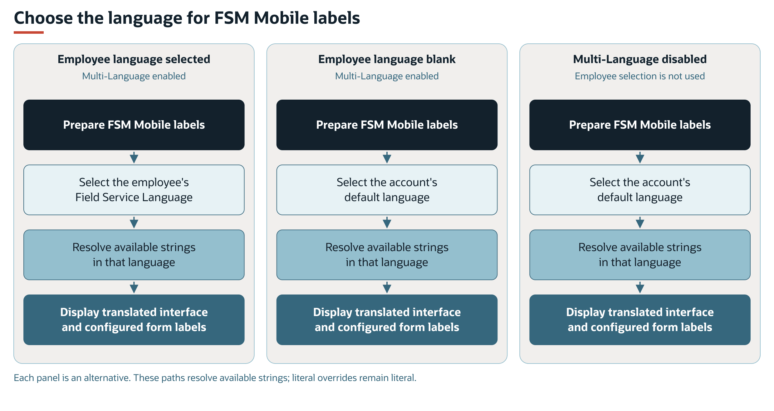 FSM Mobile label language for the three Multi-Language and employee-language scenarios.