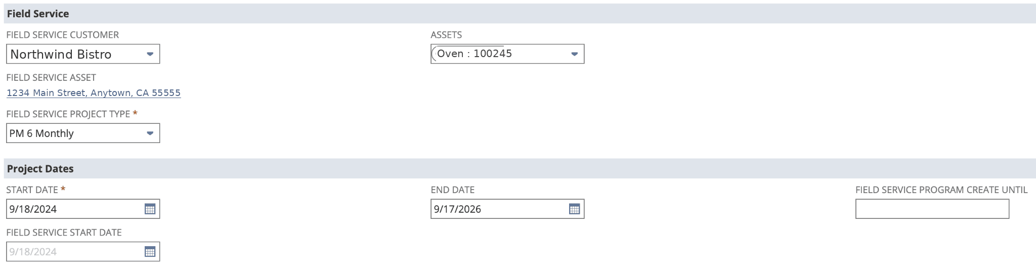 Example Field Service Project record in NetSuite