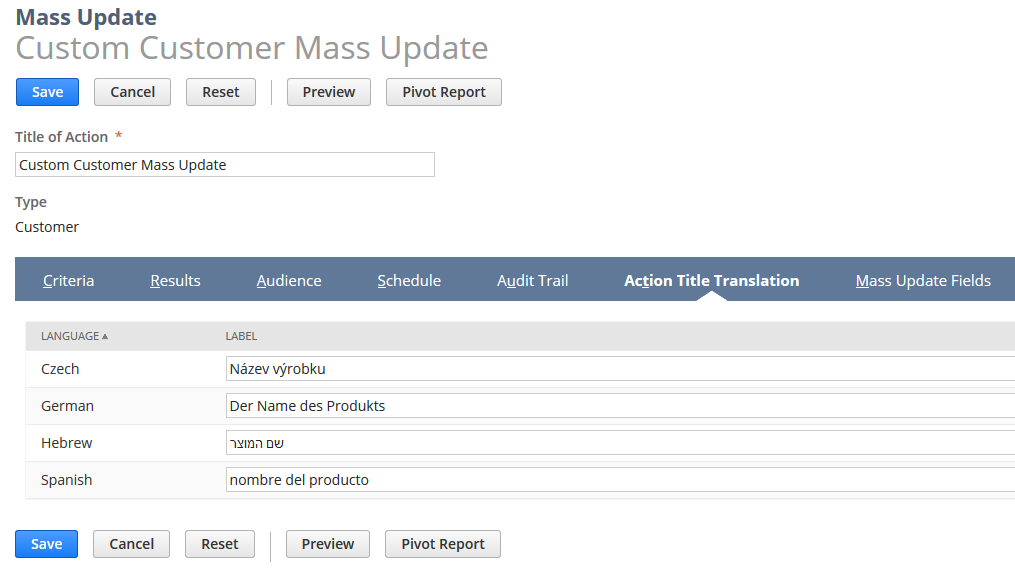 Action Title Translation subtab on the Mass Update page.