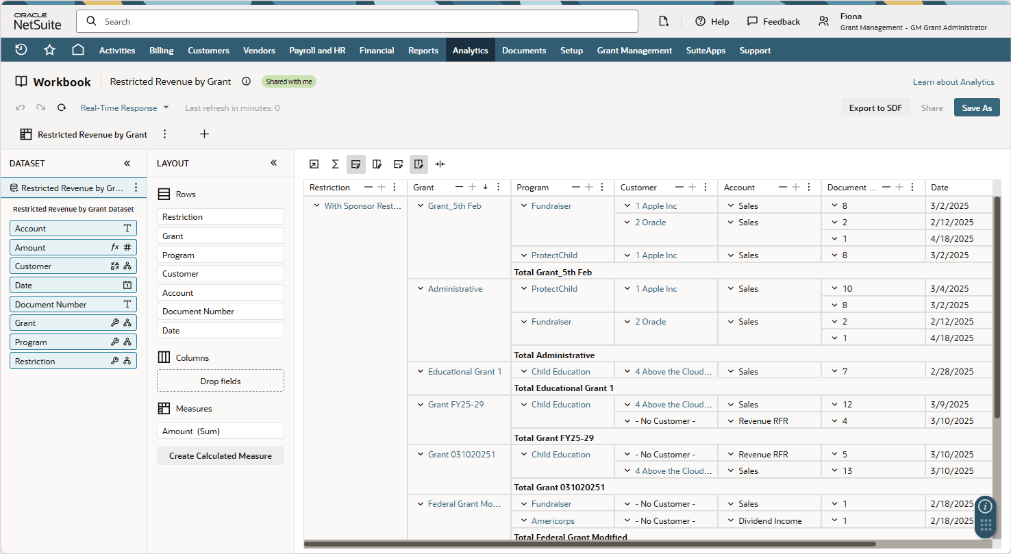 This screenshot shows a portion of the Restricted Revenue by Grant Workbook.