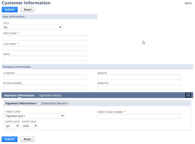 The Customer Information page with the Payment Information sublist and tab shown.