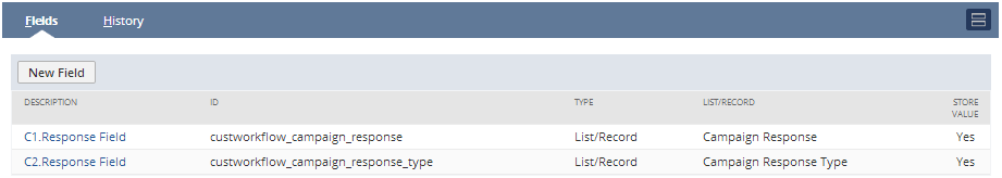 A screenshot showing workflow fields used to track campaign responses in a lead nurturing workflow.