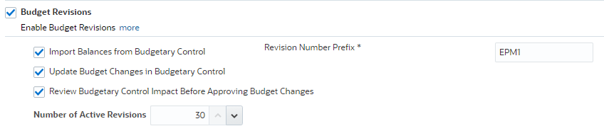 Budget revision options