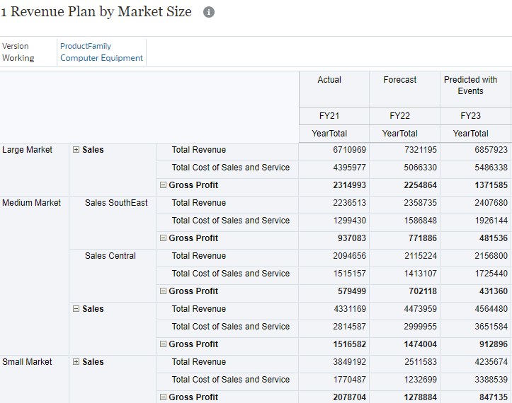 Revenue Plan by Market Size Form