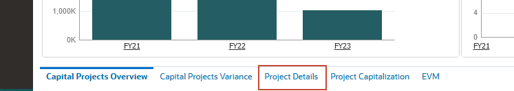 Project Details tab