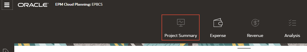 Project Summary tab