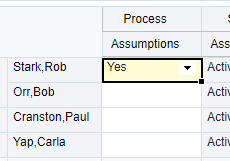 Process Assumptions