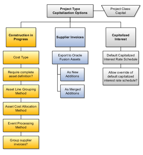 This graphic illustrates the capitalization options for project types.