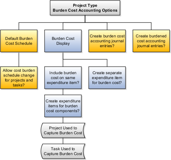 Flow chart of burden cost accounting options for project types.
