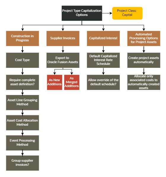 This graphic illustrates the capitalization options for project types.