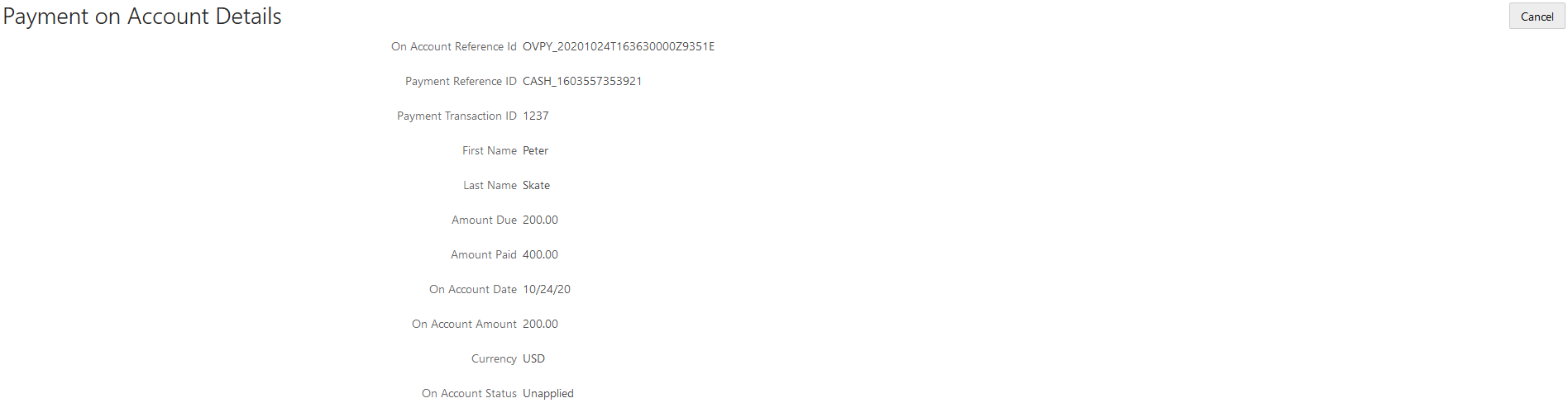 Example of the Payment on Account Details page