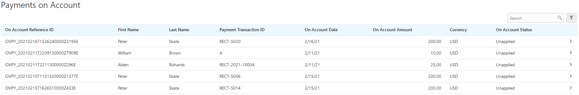 Example of the Payments on Account page