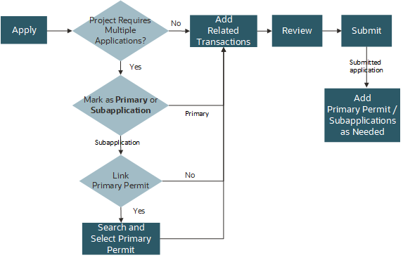 Application Intake Process Flow