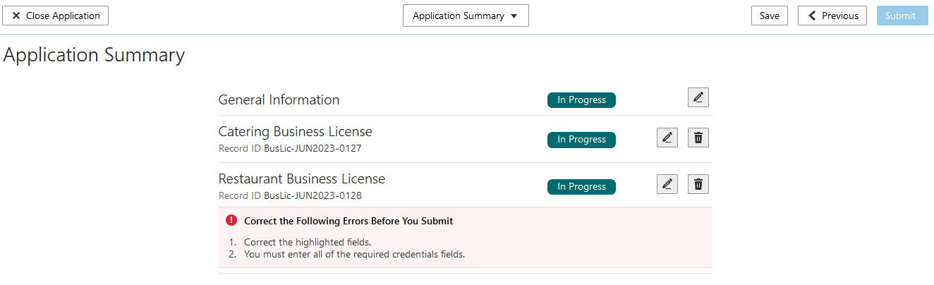 Application Summary page showing multiple license types in the In Progress status