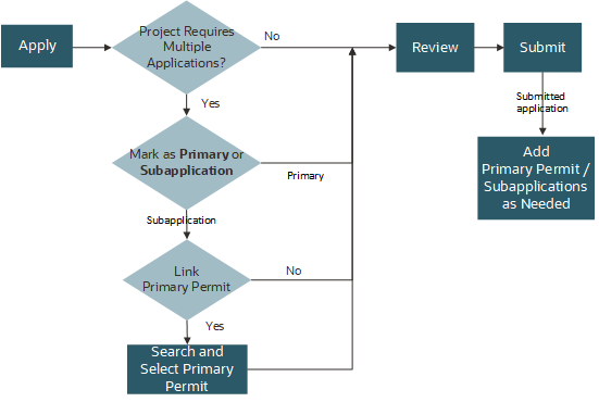 Application Intake Process Flow