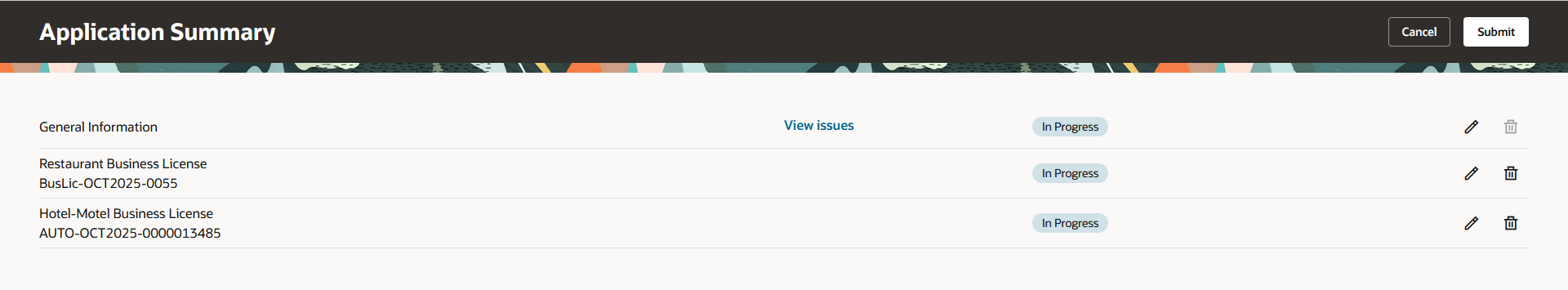 Application Summary page showing General Information and multiple license types in the In Progress status