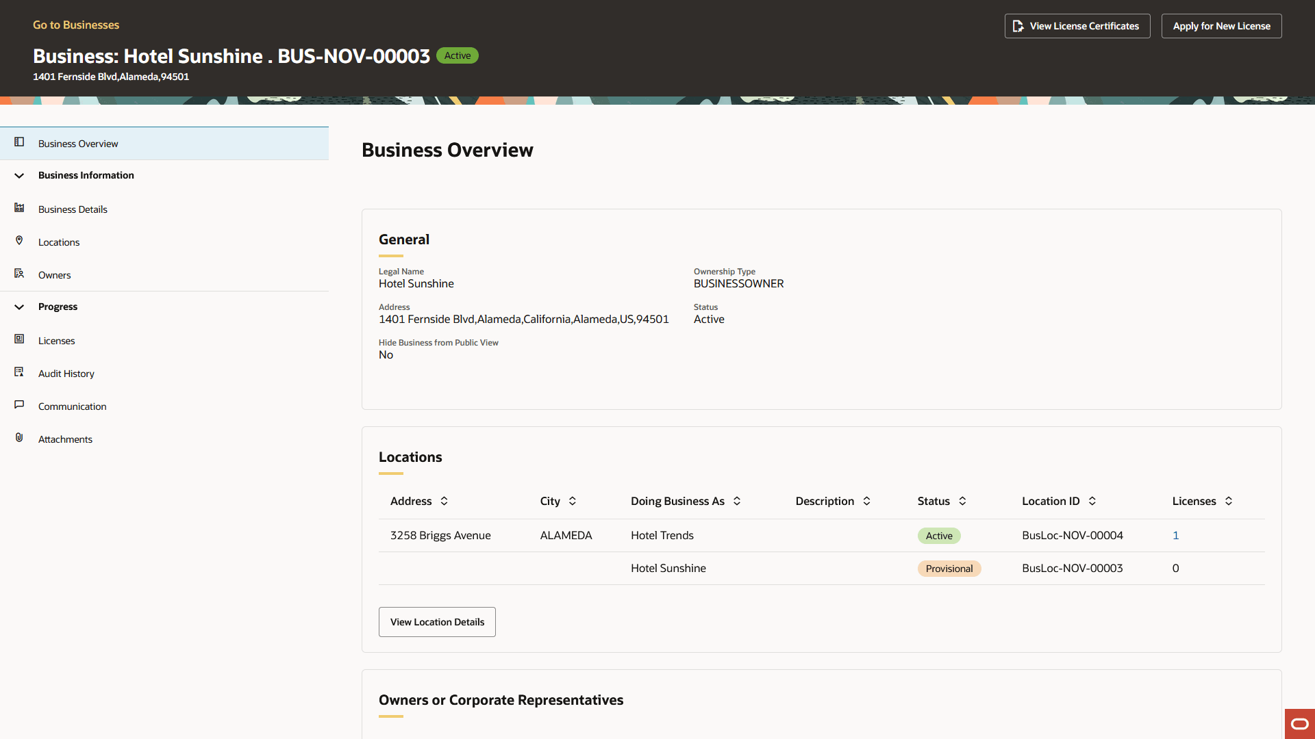 Business Overview page in the business parent data