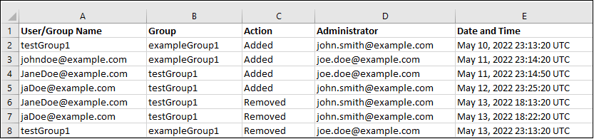 OldColumn Layout of the Group Assignment Audit Report