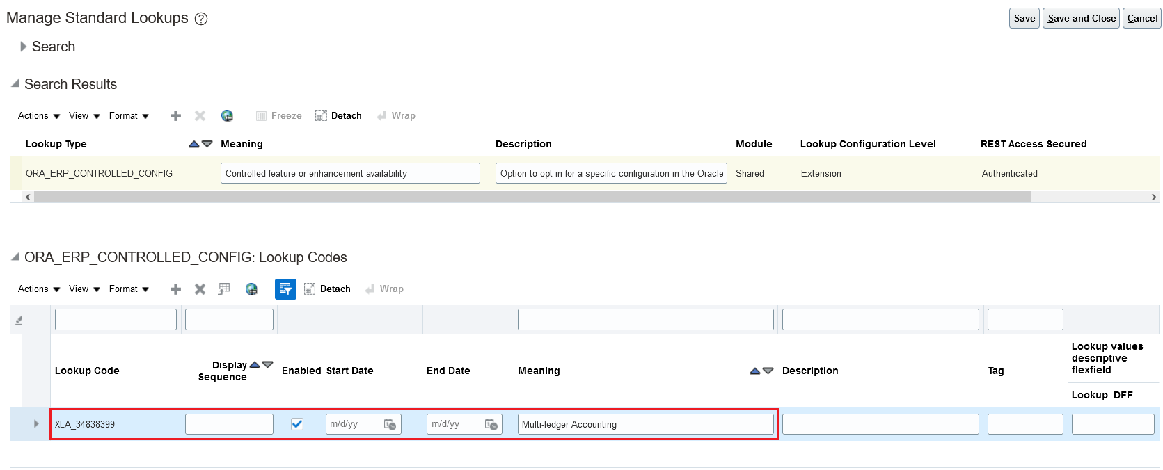 Defining lookup code under lookup type for Multiledger Accounting