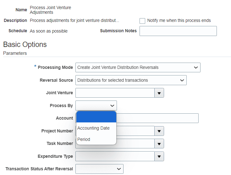 Process options for the Process Joint Venture Adjustments process