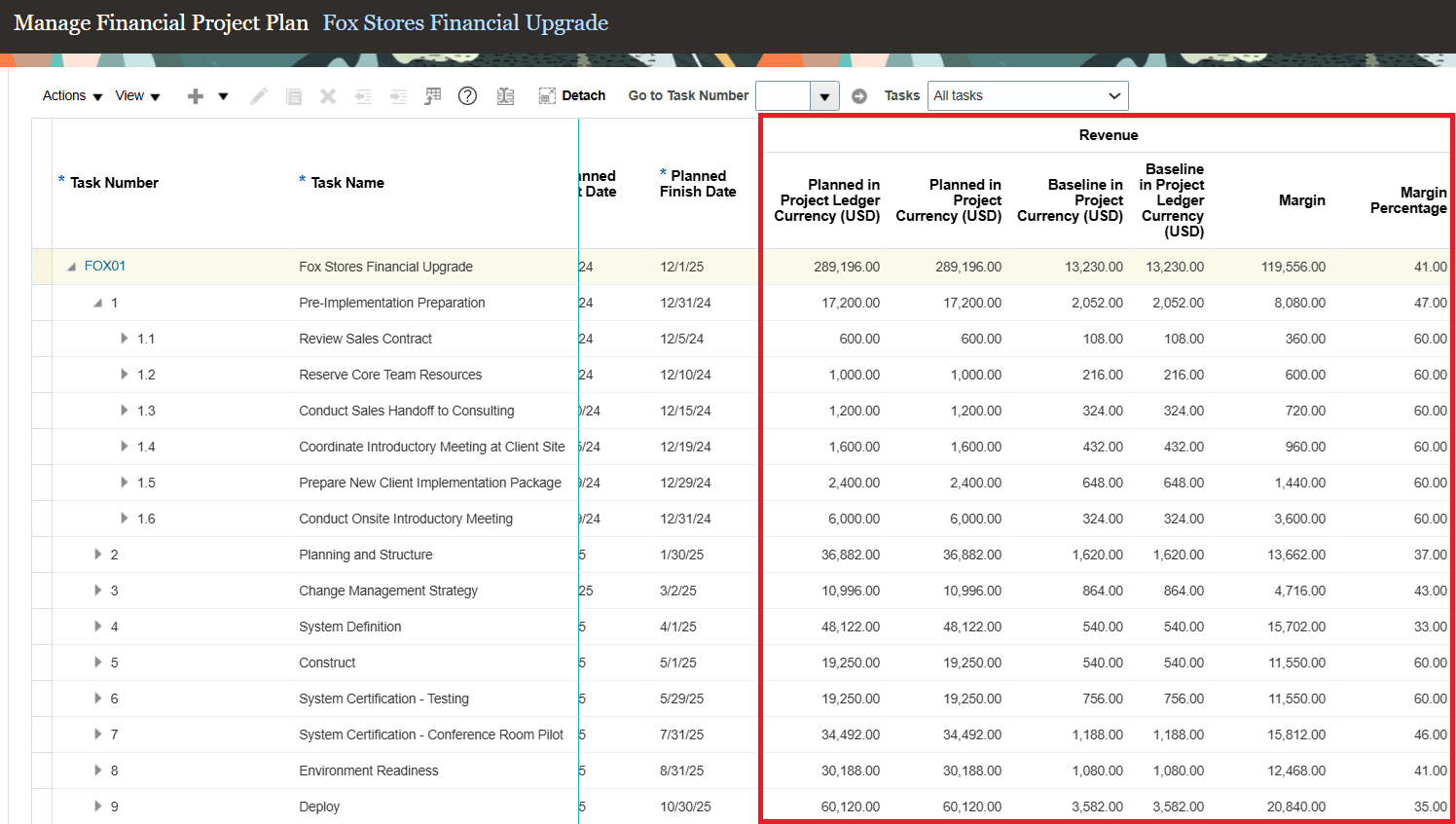 Revenue Plan on Manage Financial Project Plan