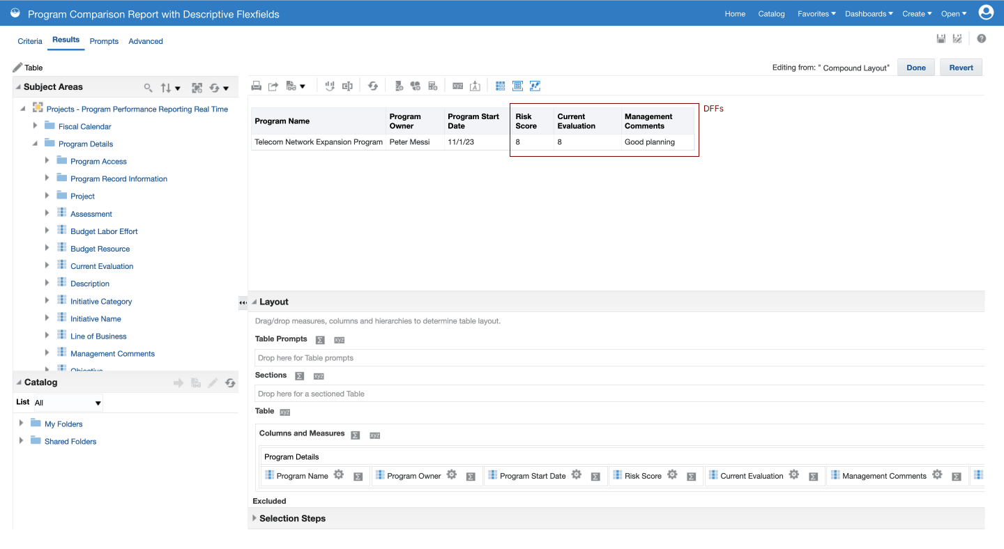 OTBI Report with Program Descriptive Flexfields