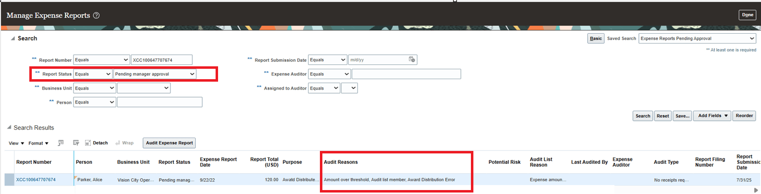 Audit Search Page