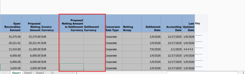 Netting Settlement Summary spreadsheet
