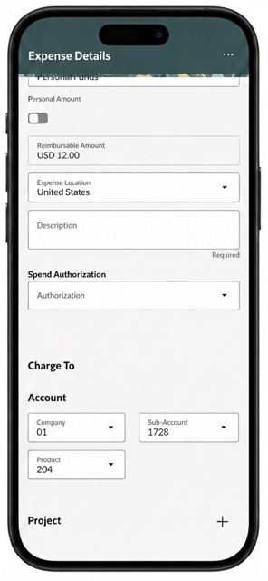Displaying configured accounting segments