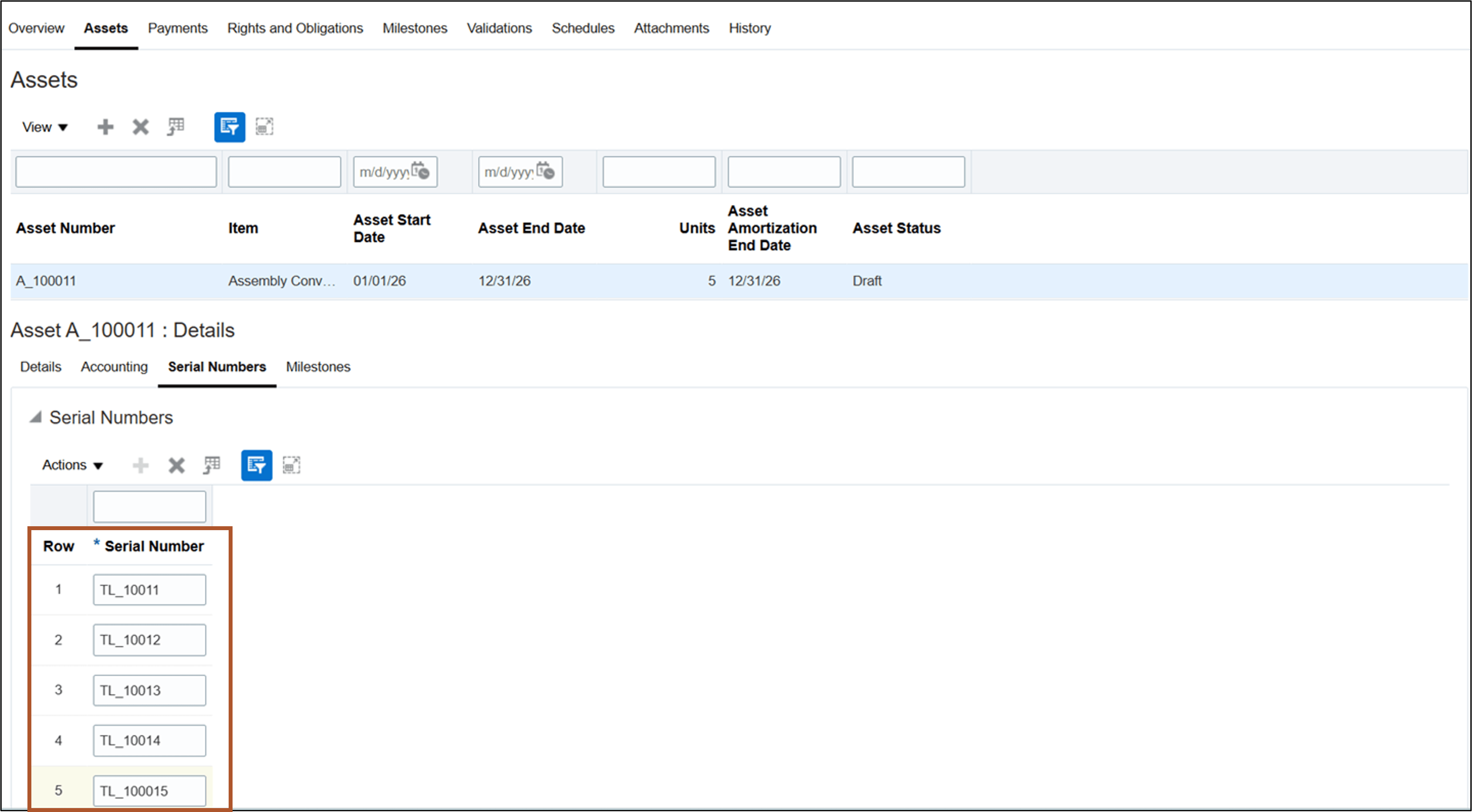 Update Asset Details - Serial Numbers page