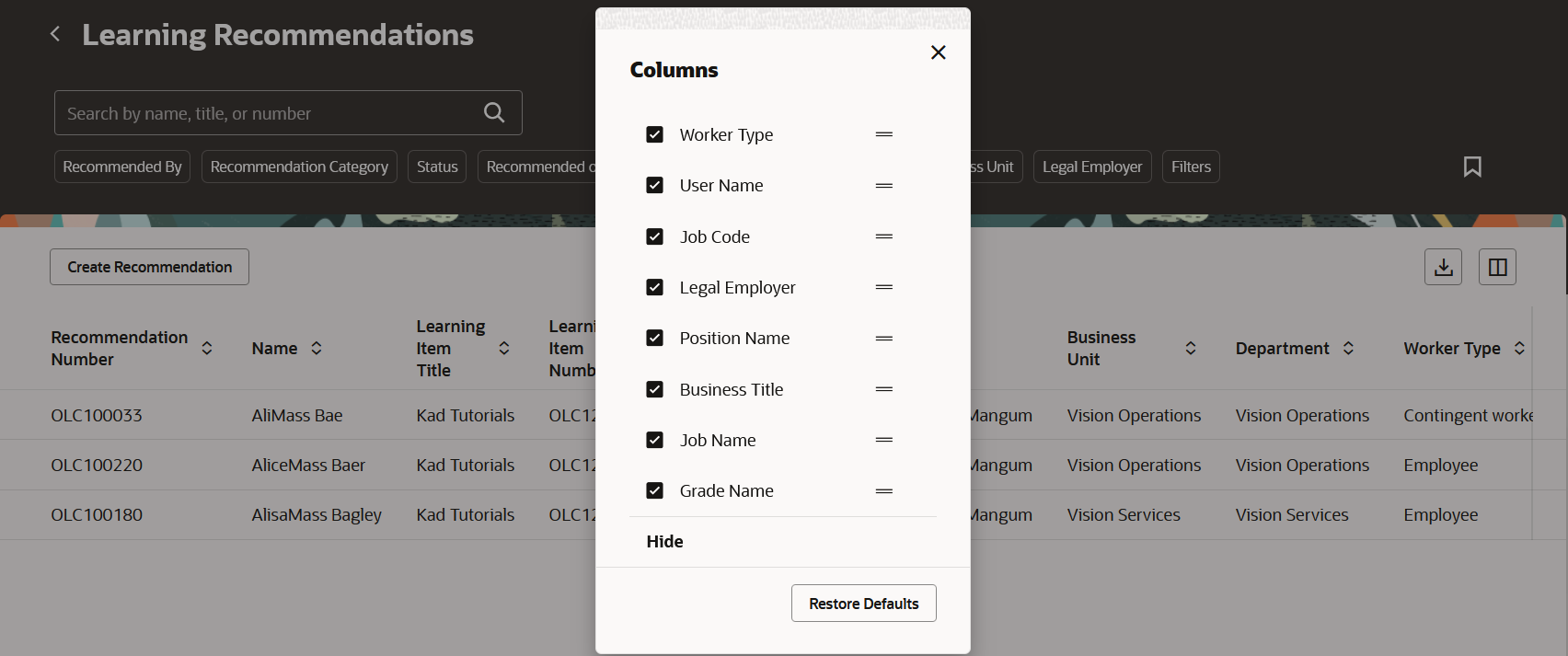 Learning Recommendations Page Showing the Available Worker Attribute Columns