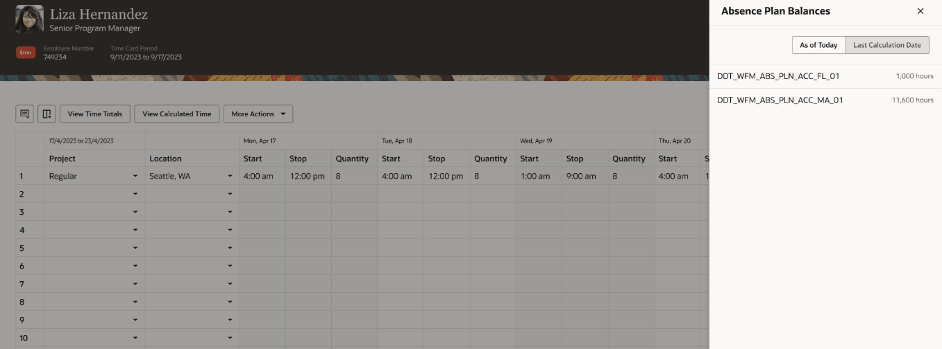 Screen capture of the  Absence balances on a time card.