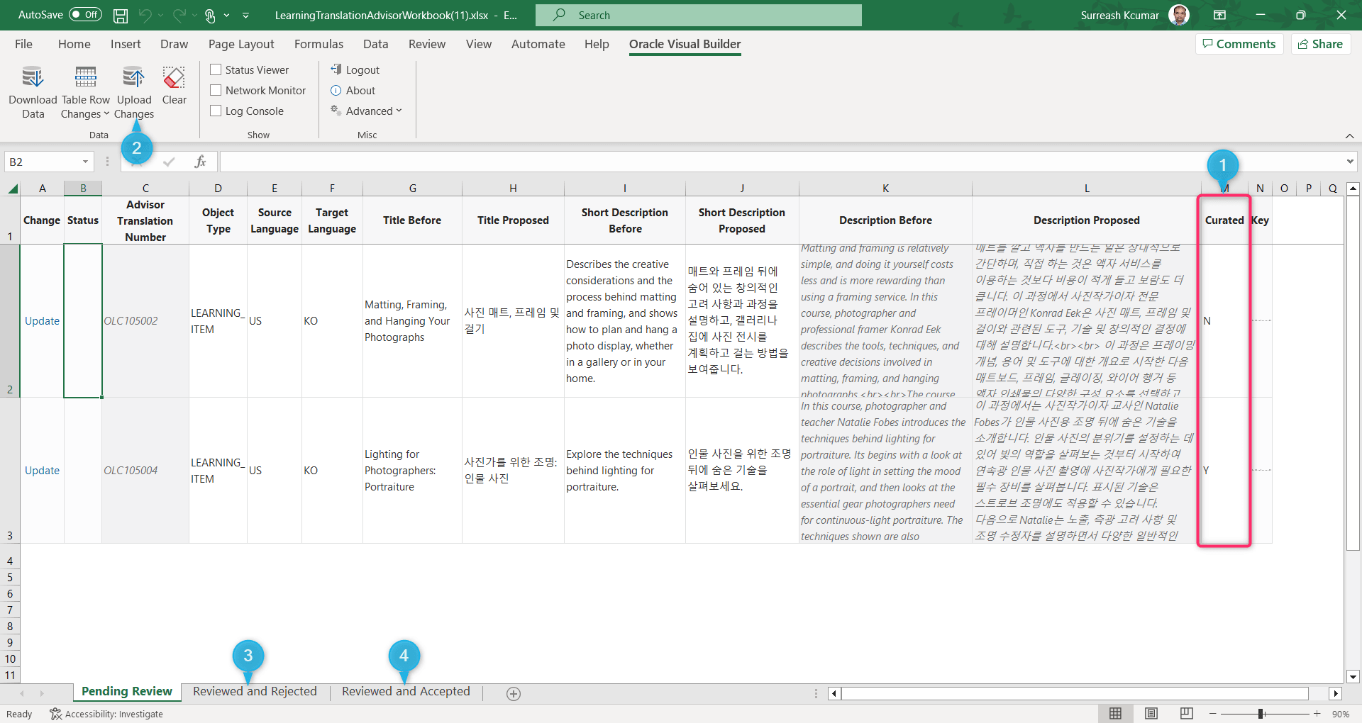 Microsoft Excel Workbook Showing the Curated Column, Upload Changes Button, and Reviewed Tabs
