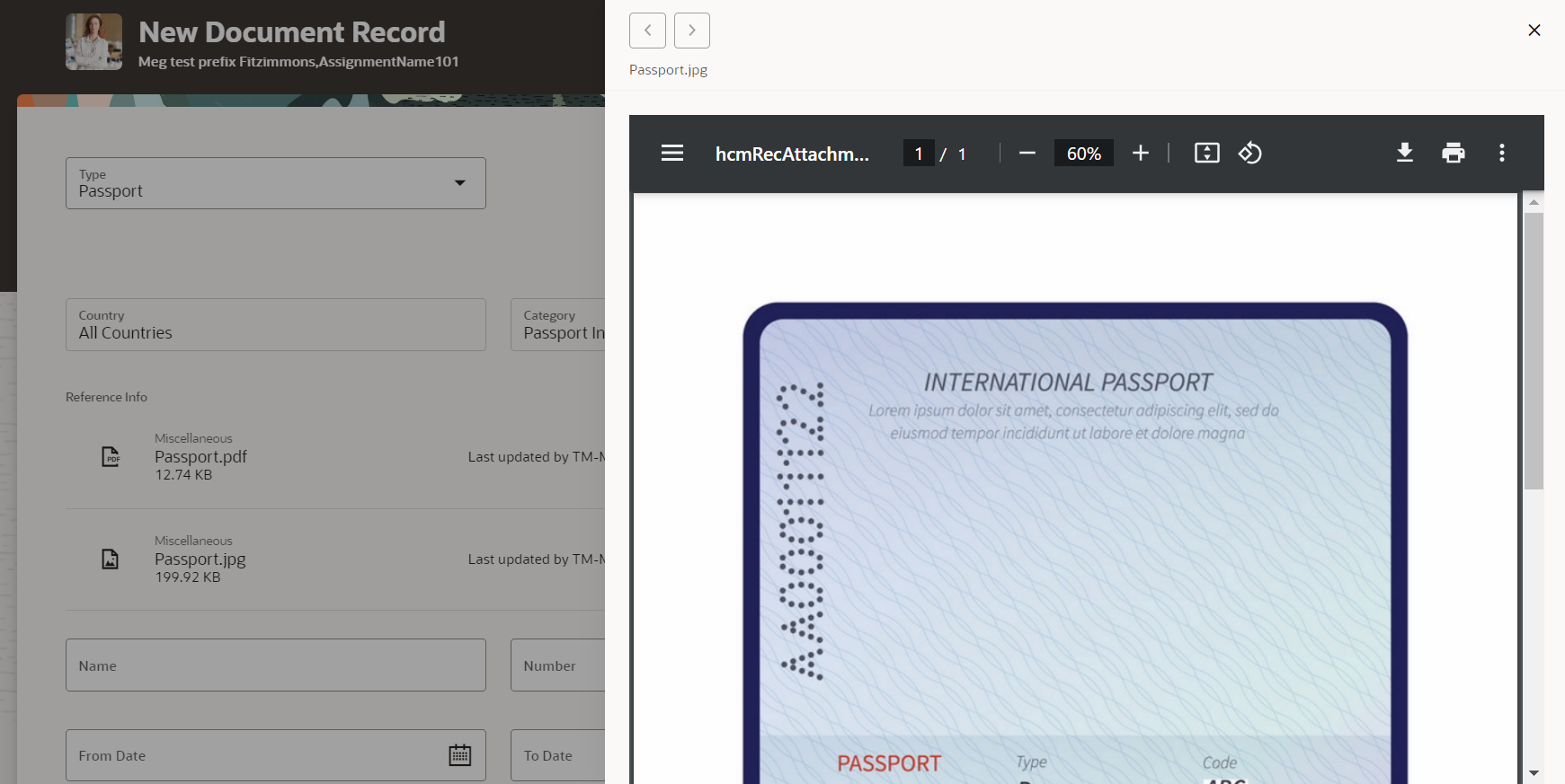 Preview window for the Reference Info attachment on the Document Records page