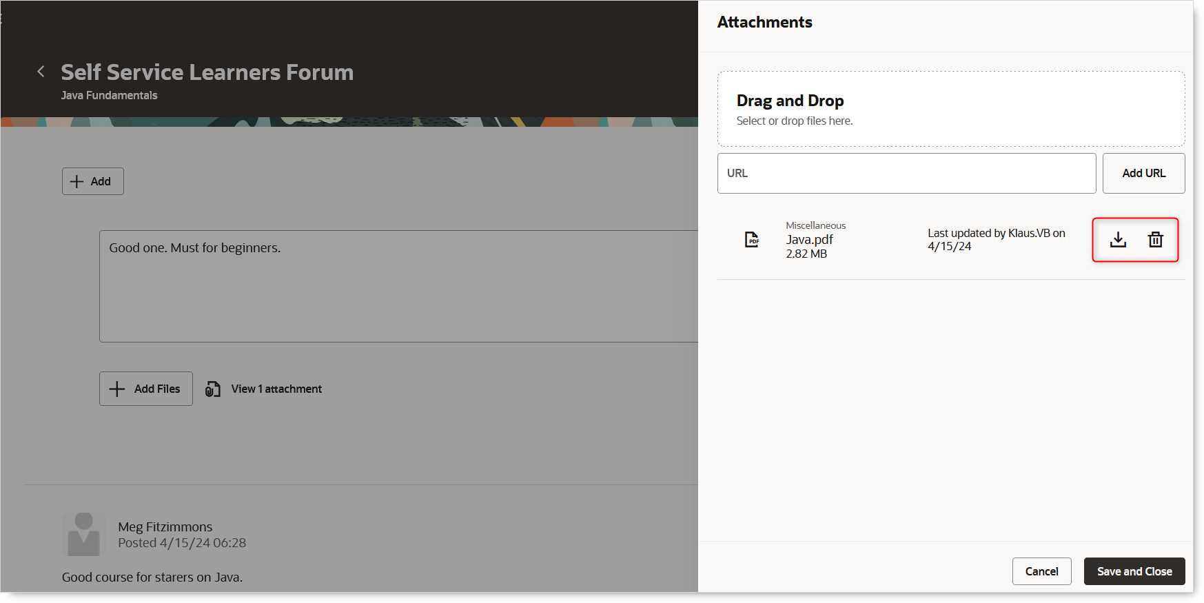 Download and Delete Attachment Options