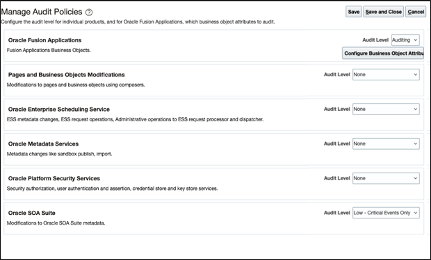 Configure Business Object Attributes