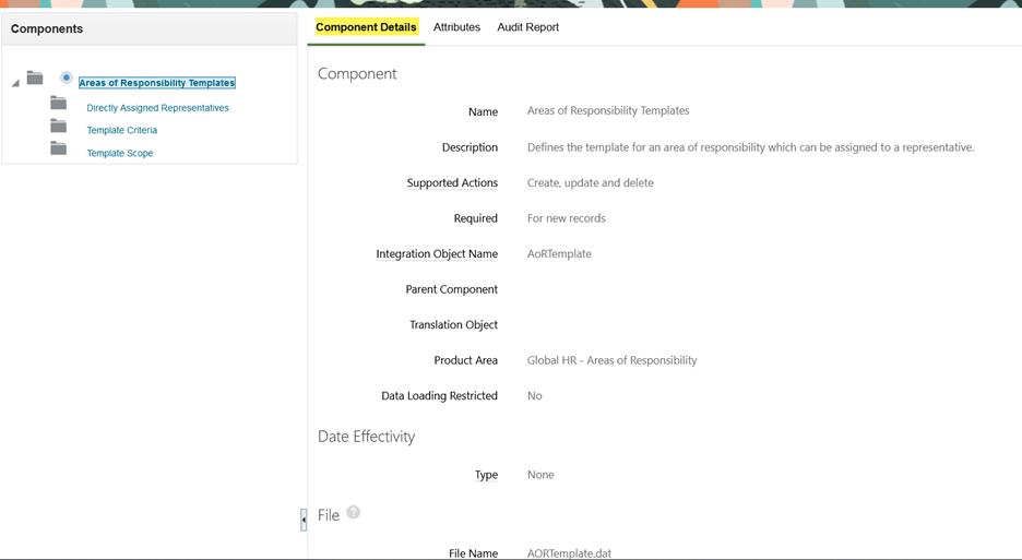Component Details tab of the Areas of Responsibility Templates