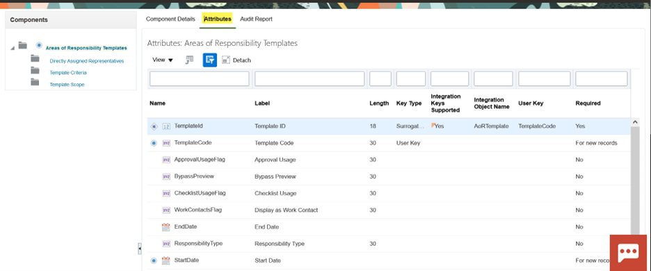 Attributes tab of the Areas of Responsibility Templates