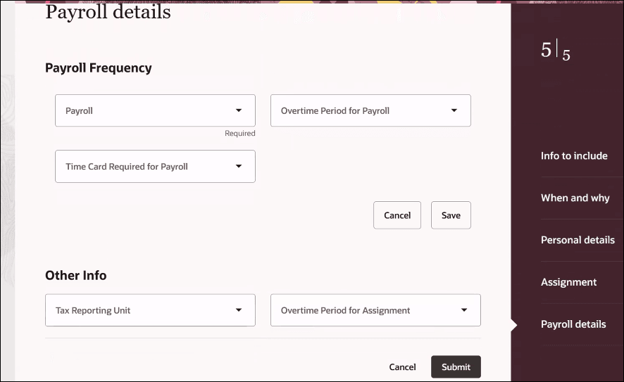 Screen capture of the Payroll details window