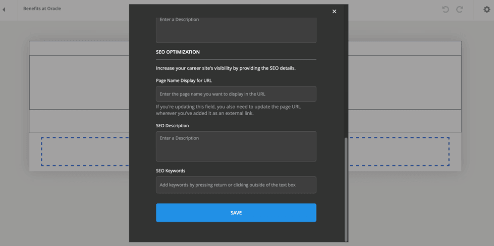 Screen Capture of the New Page Display Name for URL Field for Custom Pages.
