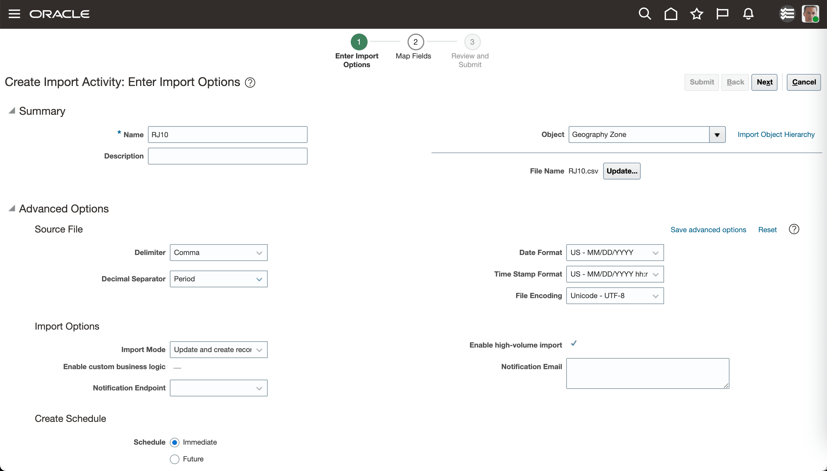 Create Import Activity Guided Process, Enter Import Options Page