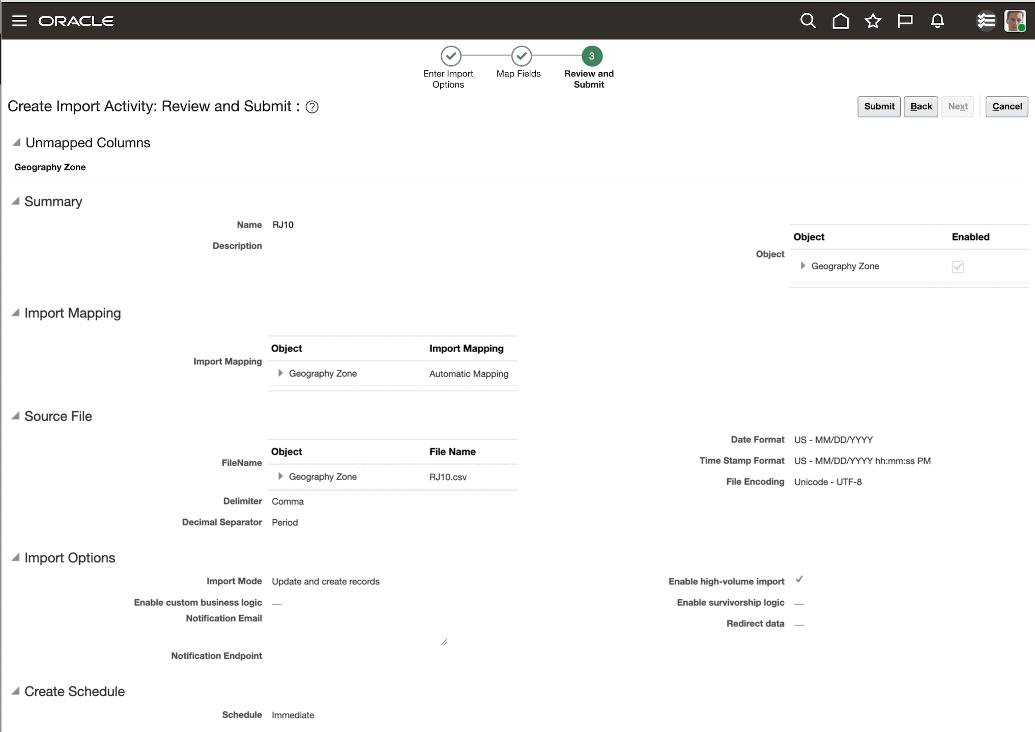 Create Import Activity Guided Process, Review and Submit Page