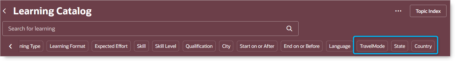 Descriptive Flexfields Enabled as Filter Facets on the Learning Catalog Page