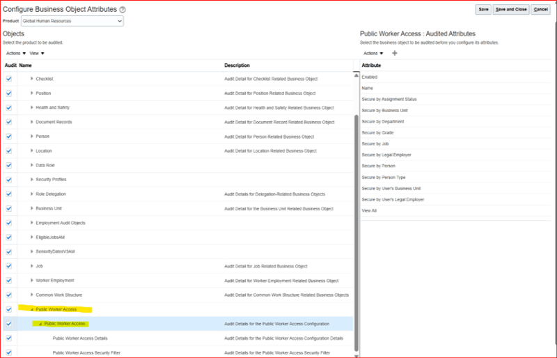 New Public Worker Access Auditable Objects 